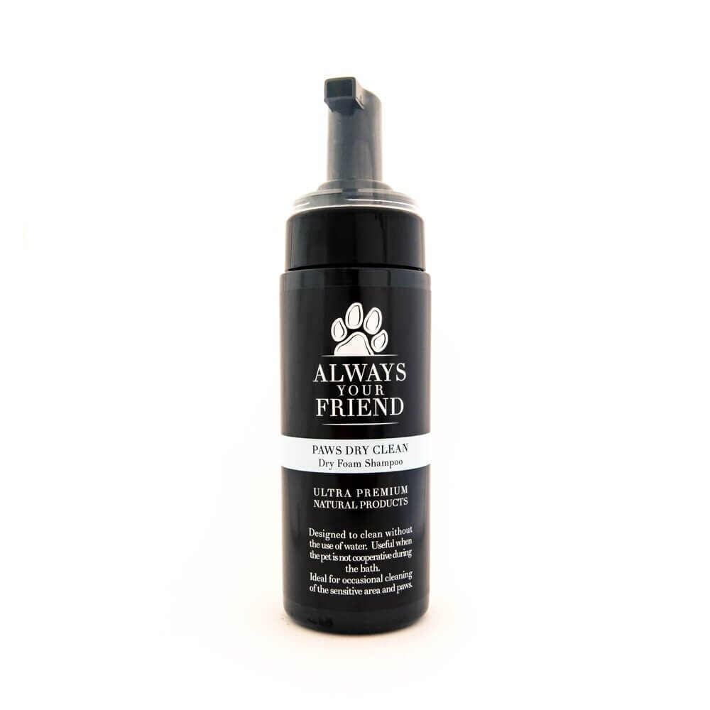 Dry shampoo ALWAYS YOUR FRIEND 250ml